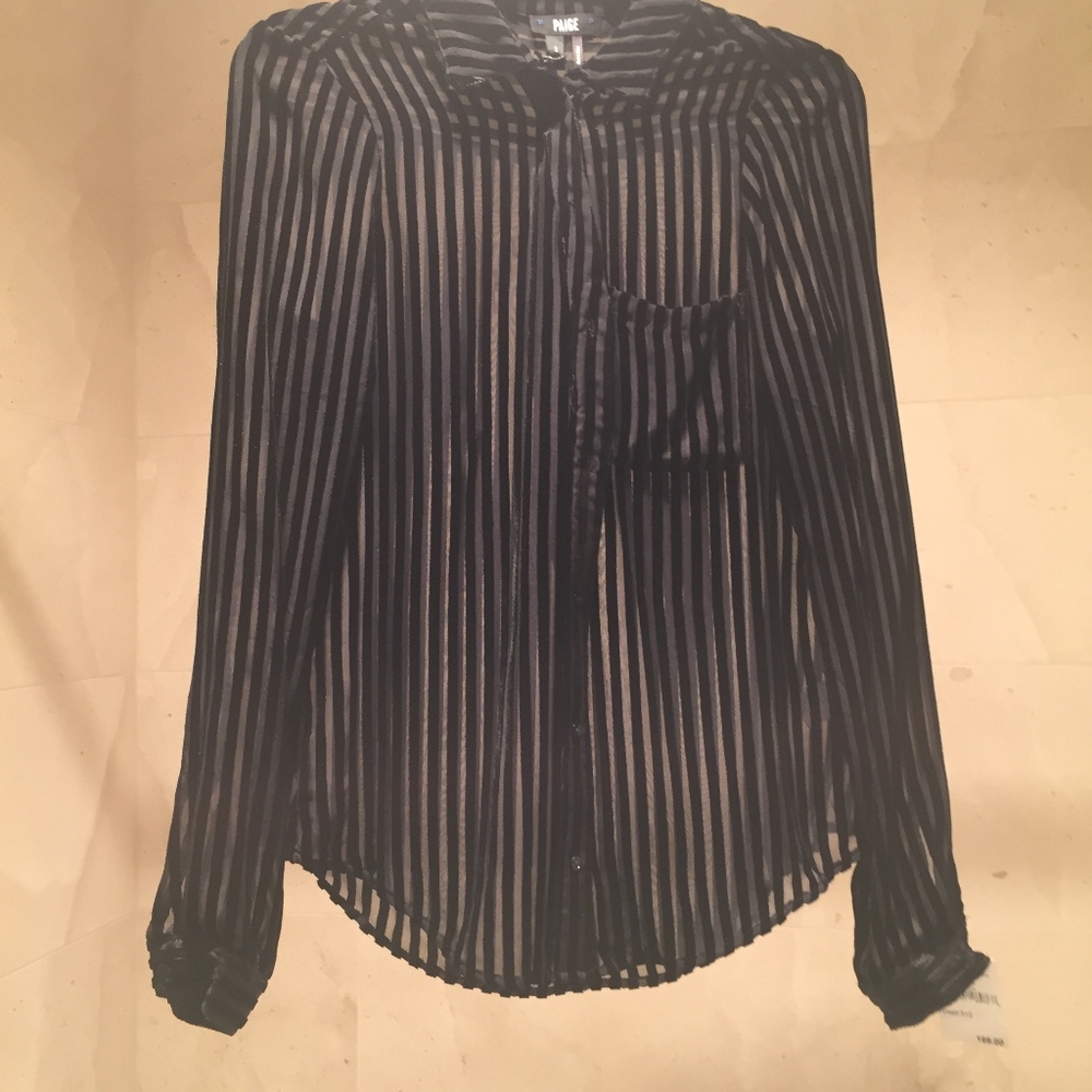 Paige Sheer Velvet Silk Top